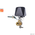 VC-104 Water/Gas Valve Controller - IFREEQ Expo